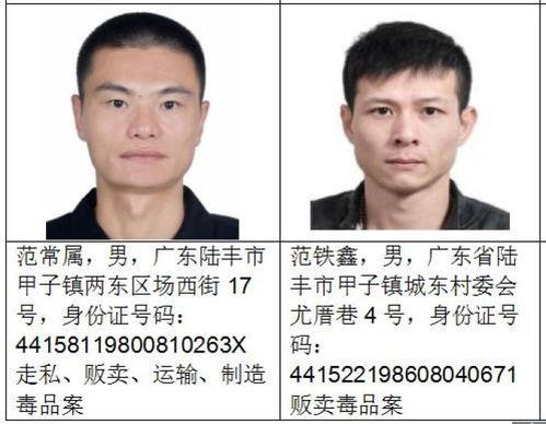 80在线看无码,畅享高清影视盛宴