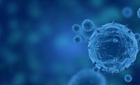 日韩病毒治愈者是谁啊视频,他们的康复之路与启示