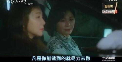 明日韩剧催泪片段视频播放,明日韩剧催泪片段，观众共鸣瞬间